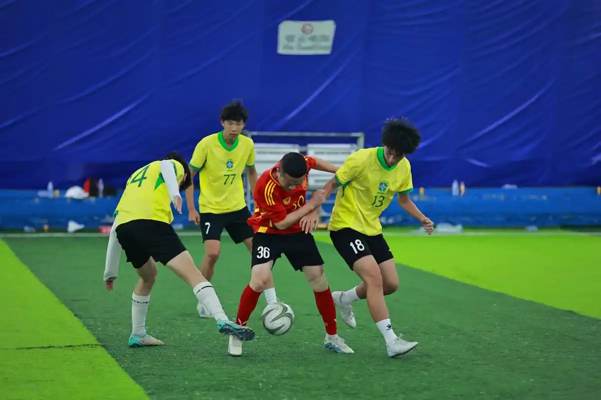 雨燕直播360高清直播